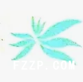 廣東中康織繡科技有限公司