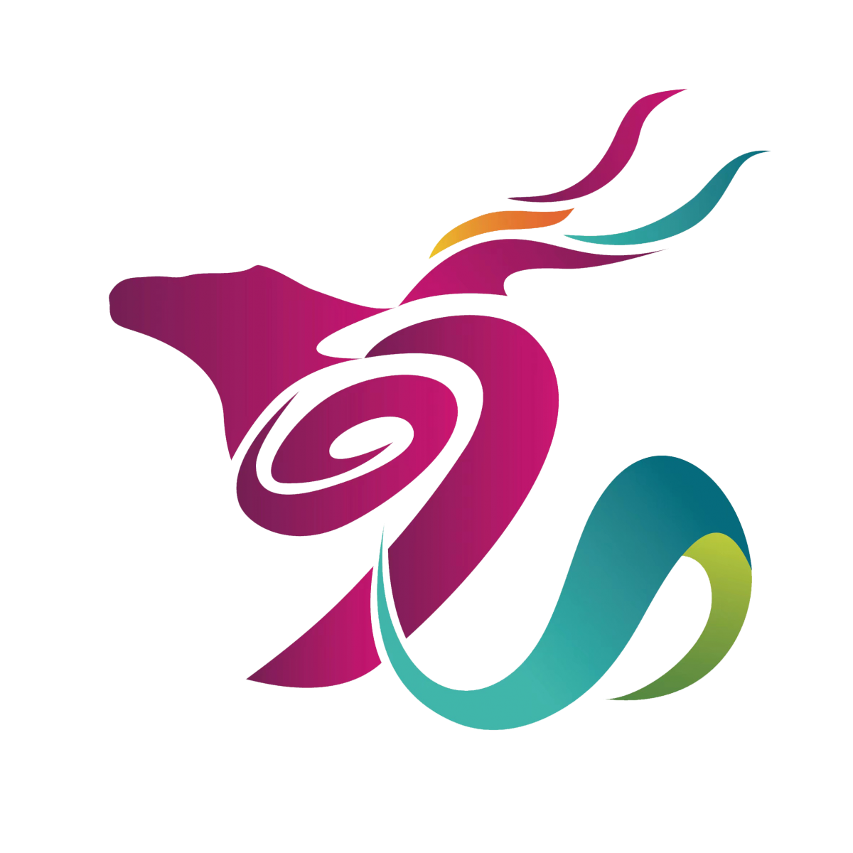 杭州九色鹿染化科技有限公司